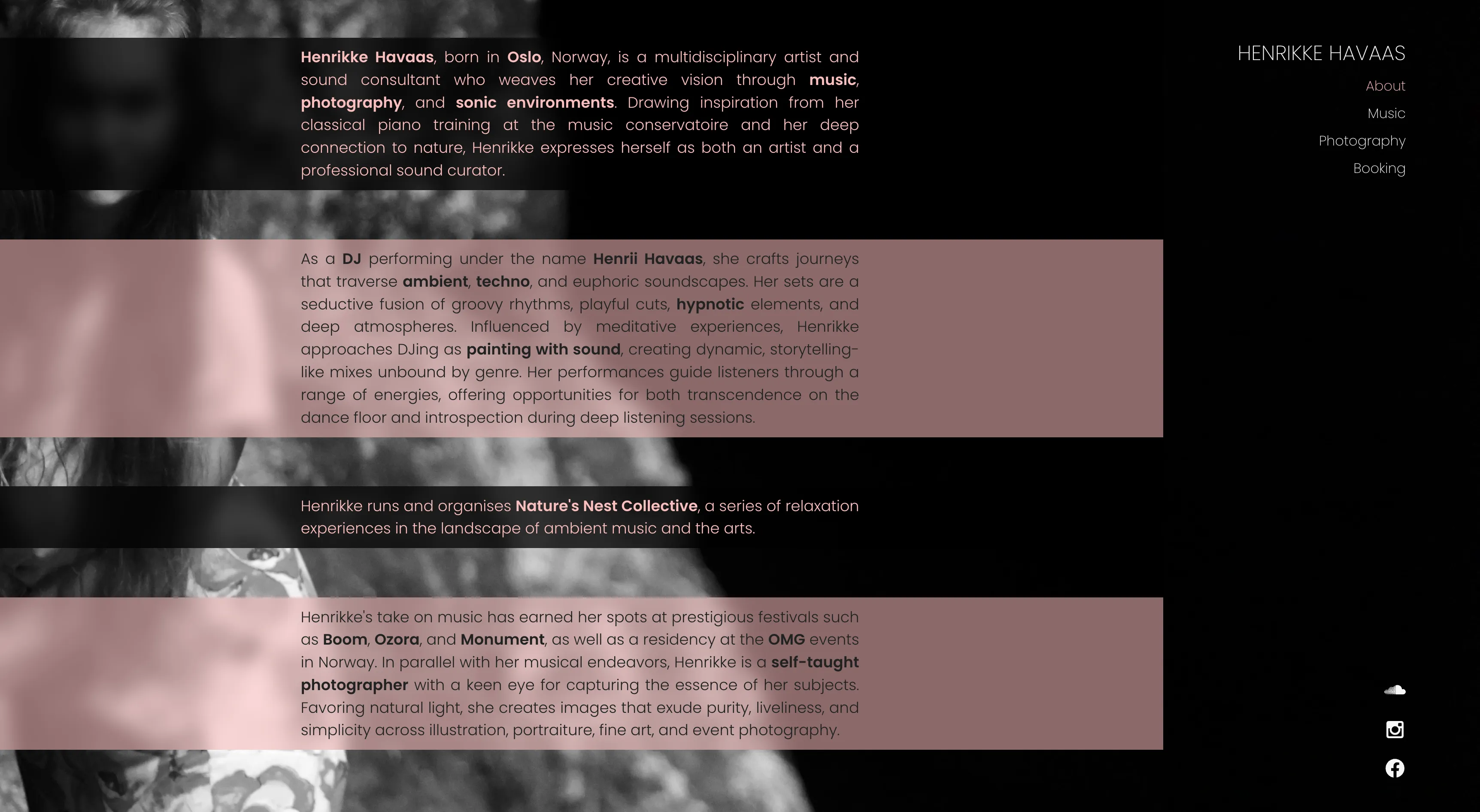 The Henrikke Havaas artist portfolio website. It features a minimalist and elegant design, with a clean layout that showcases the artist's work. A beautiful, high-quality painting is prominently displayed, with a simple navigation menu and text overlay. The overall aesthetic is modern and sophisticated, reflecting the artist's creative style.